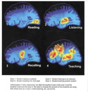 The neuroscience of learning