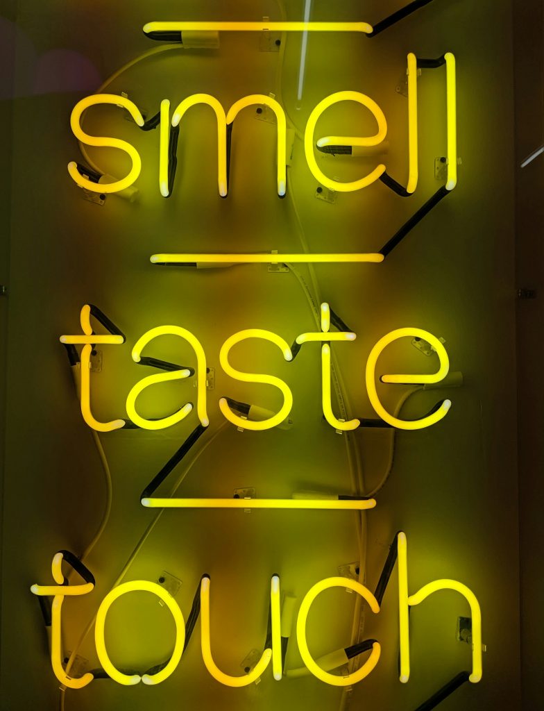 smell-taste-touch