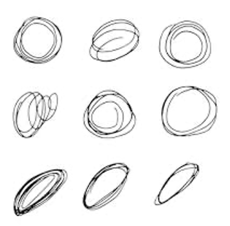 circle-or-oval